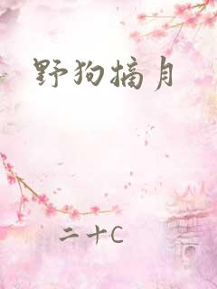 野狗摘月