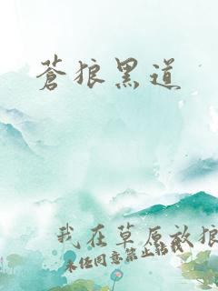 苍狼黑道