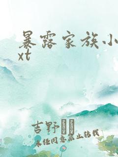 暴露家族小说txt