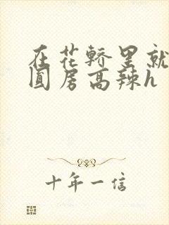 在花轿里就开始圆房高辣h