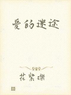 爱的迷途