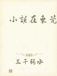 小说在东莞