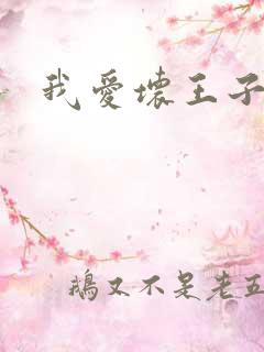我爱坏王子