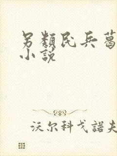 另类民兵葛二蛋小说