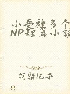 小受被多个攻强NP短篇小说