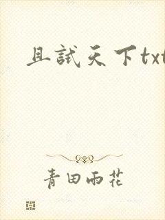 且试天下txt