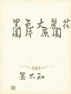 黑色大丽花真实图片 原图