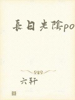 长日光阴po
