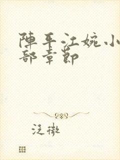 阵平江婉小说全部章节