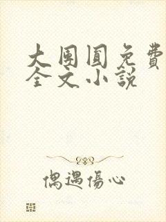 大团圆免费阅读全文小说