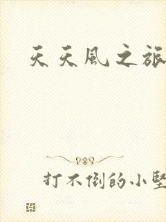 天天风之旅辅助