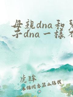 母亲dna和儿子dna一样不
