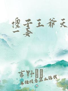 傻子王爷天下第一妾