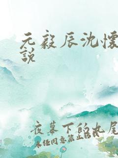 元毅辰沈怀妆小说