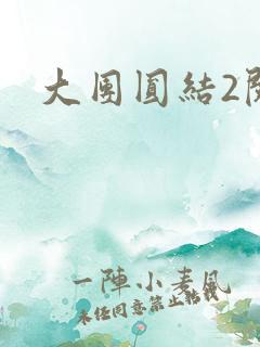 大团圆结2阅读