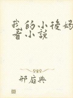 我的小后妈免费看小说