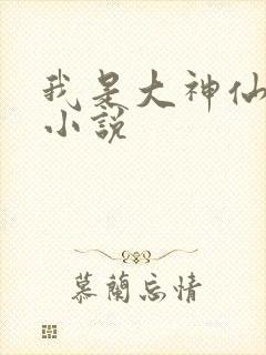 我是大神仙时江小说