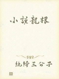 小说龙根
