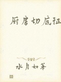 厨房切底征服岳