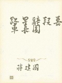 路星辞段嘉衍肉车长图