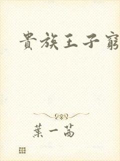 贵族王子穷公主