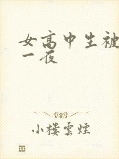 女高中生被弄了一夜
