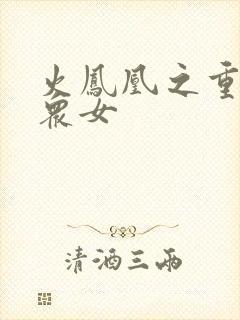 火凤凰之重生干众女