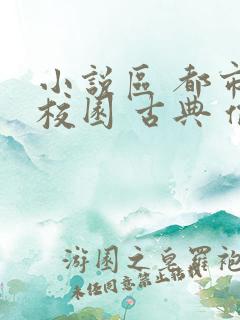 小说区 都市 校园 古典 偷拍