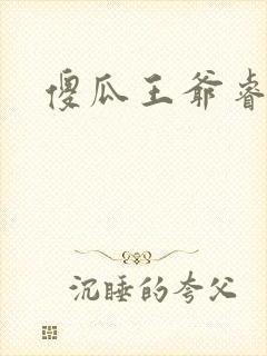 傻瓜王爷睿智妃