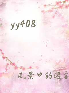yy408