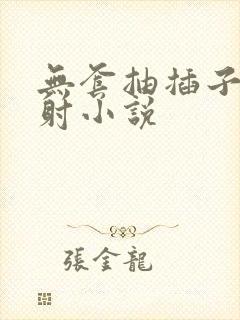 无套抽插子宫内射小说