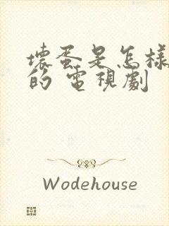 坏蛋是怎样炼成的 电视剧