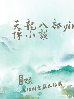 天龙八部yin传小说