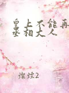 皇上不能再进了丞相大人