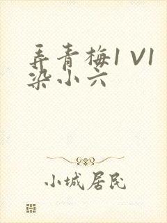 弄青梅1 V1染小六