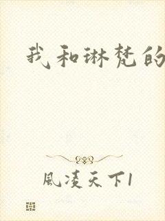 我和琳梵的故事