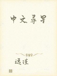 中文寻星
