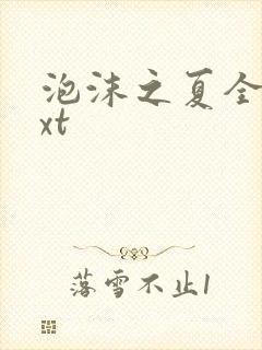 泡沫之夏全集txt