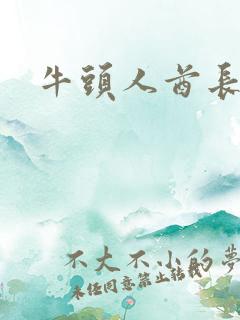 牛头人酋长战斧