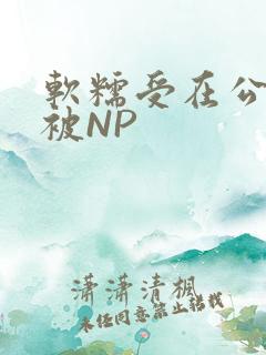 软糯受在公交车被NP