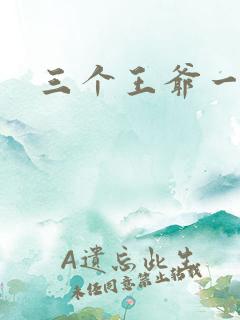 三个王爷一个妃