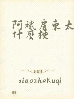 阿斌房东太太是什么梗