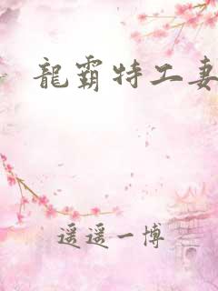 龙霸特工妻