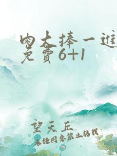 肉大捧一进一出免费6+1