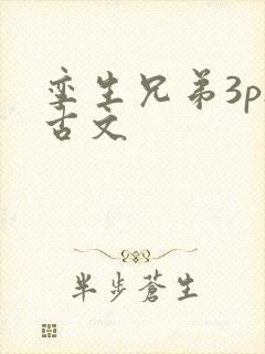 孪生兄弟3ph古文