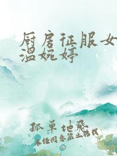 厨房征服女市长温婉婷