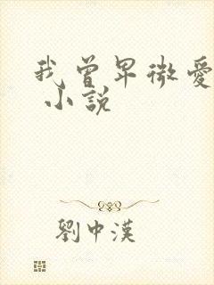 我曾卑微爱过你 小说