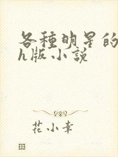 各种明星的综艺h版小说