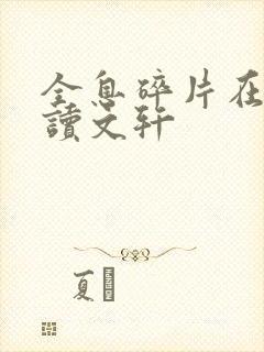 全息碎片在线阅读文轩