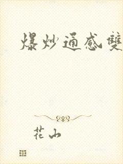 爆炒通感双胞胎